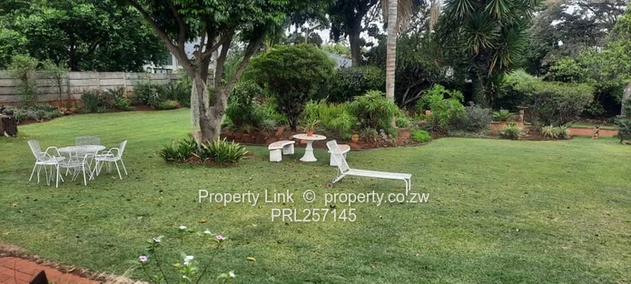 Ridge Road Prime Avondale Golden Oldie