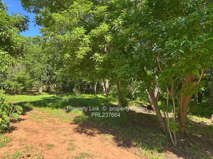 New Release! - Borrowdale Brooke