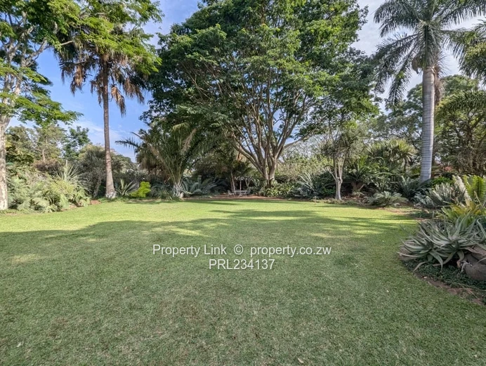 Timeless Family Home On 1 Acre With Borehole (Sole Mandate)