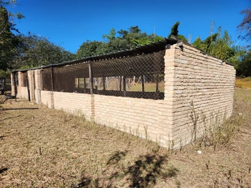 Farm & Agricultural Land