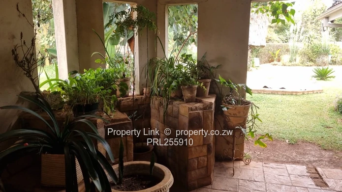 Prime Main-Road Property - Special Consent Potential!