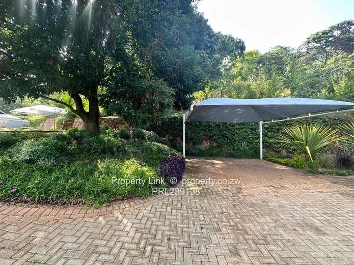 "Complex Opposite Borrowdale Brooke"