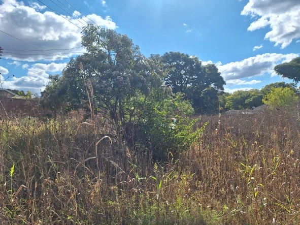 Land