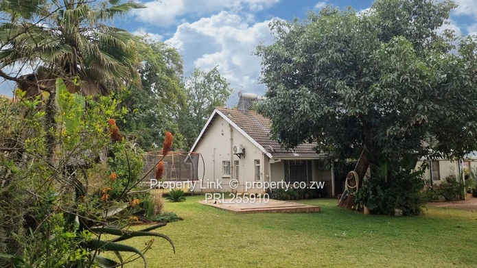 Prime Main-Road Property - Special Consent Potential!