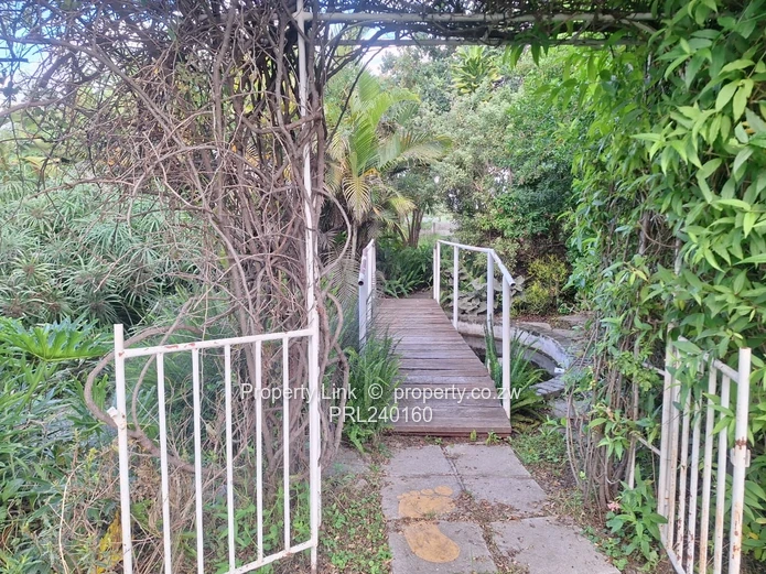 Corner Stand For Sale St Patrick's Road