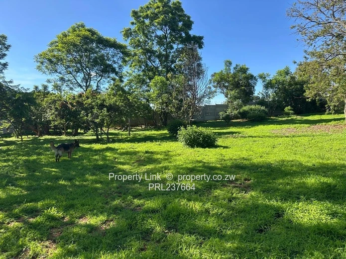 New Release! - Borrowdale Brooke