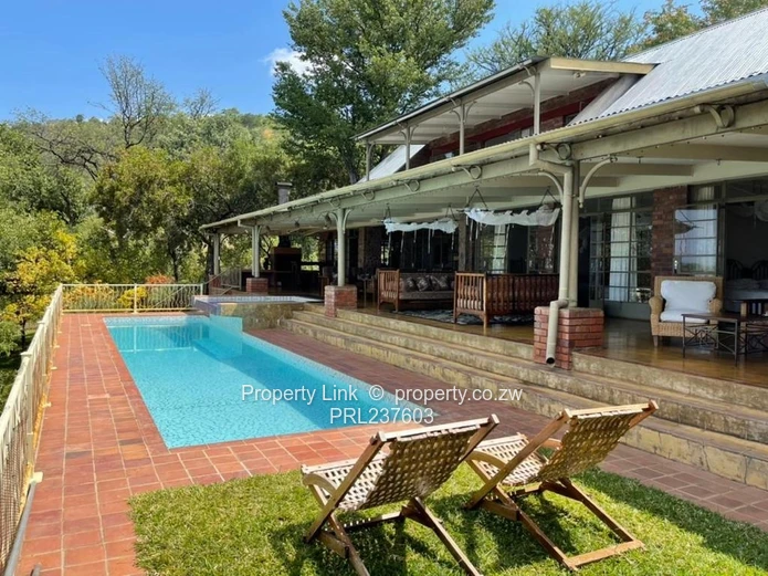 New Release - Kariba