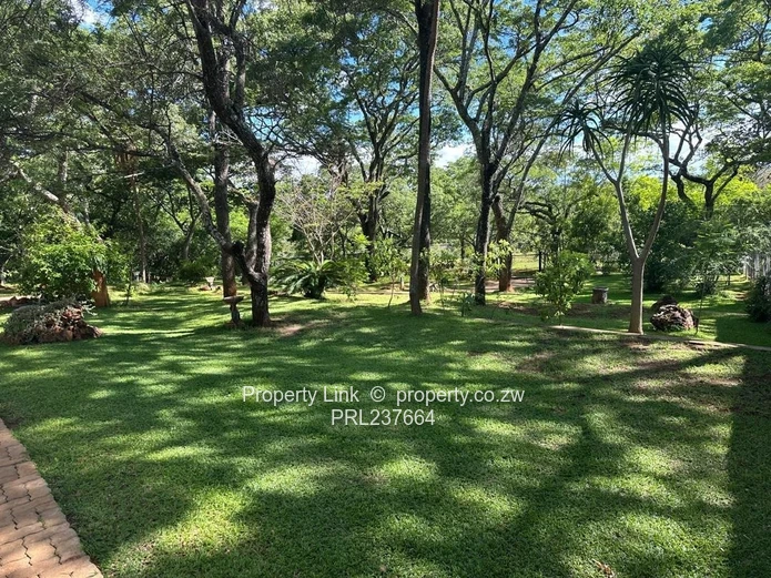 New Release! - Borrowdale Brooke