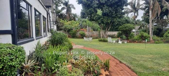 Ridge Road Prime Avondale Golden Oldie