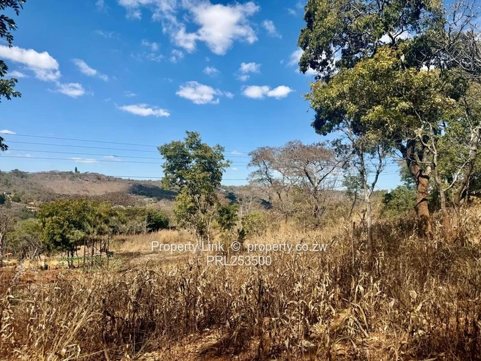 Premium Stand For Sale - Glen Lorne