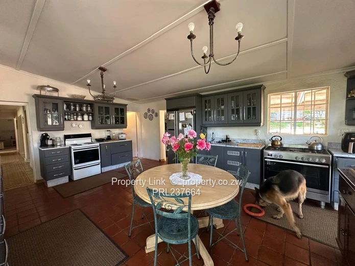 New Release! - Borrowdale Brooke