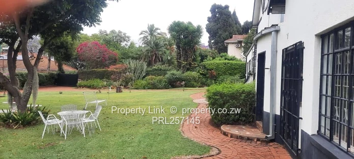 Ridge Road Prime Avondale Golden Oldie