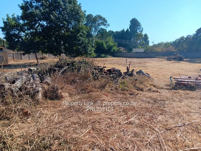 Secure Walled 2000m² Northwood Stand with Borehole & Staff Accommodation