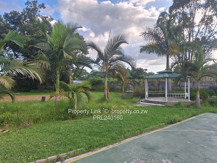 Corner Stand For Sale St Patrick's Road