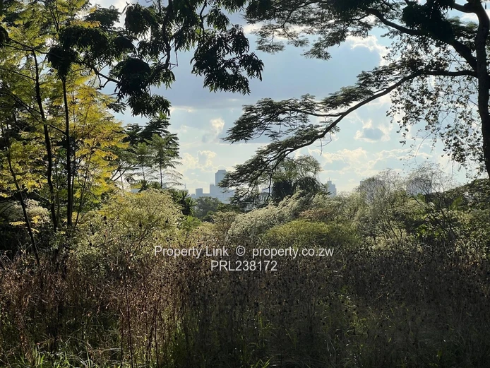 Elevated Hillside Land With Outstanding City Views