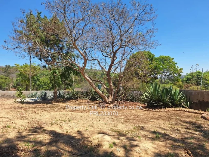 Opportunistic Land Ready To Build Your Dream Home