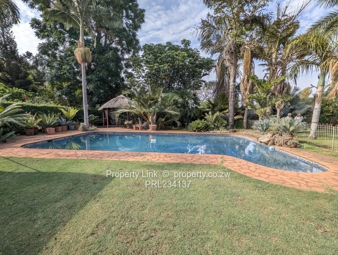 Timeless Family Home On 1 Acre With Borehole (Sole Mandate)