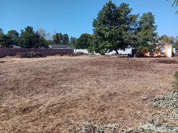 Stands & Residential Land