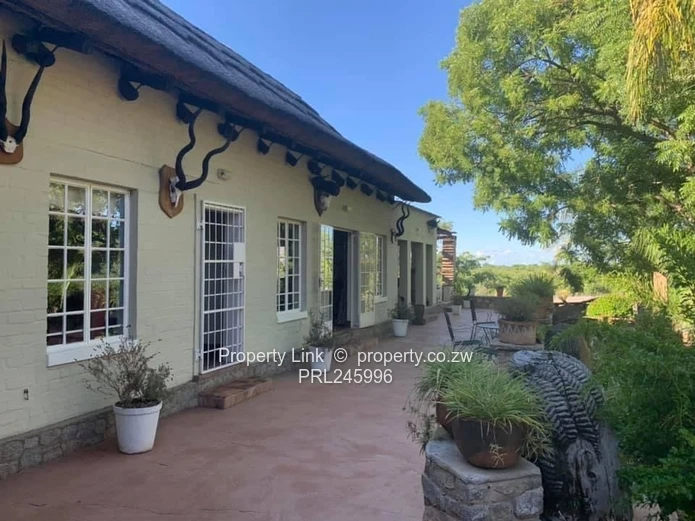 Safari Lodge-Style Bespoke Family Home Overlooking Hillside Dams