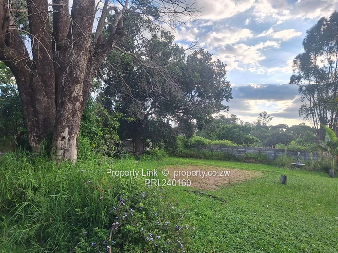 Corner Stand For Sale St Patrick's Road