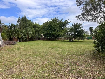 Stands & Residential Land