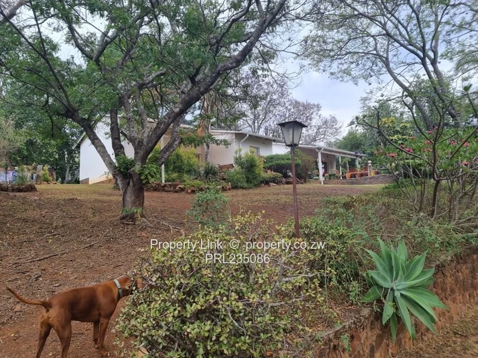 Home With Views, Pool & Self-Contained Cottage!