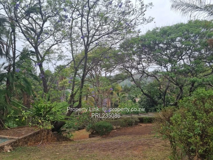 Home With Views, Pool & Self-Contained Cottage!