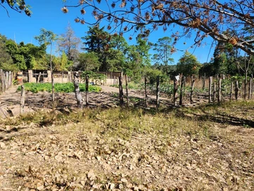 Farm & Agricultural Land