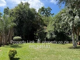 New Release  - Instant Appeal!!